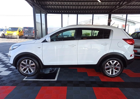 Kia Sportage cena 66500 przebieg: 74000, rok produkcji 2014 z Chrzanów małe 631